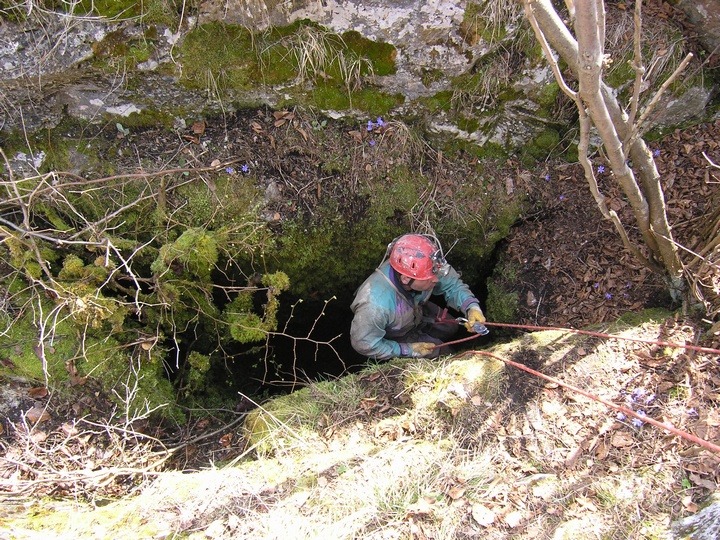 049 hlboká Dreveník.jpg