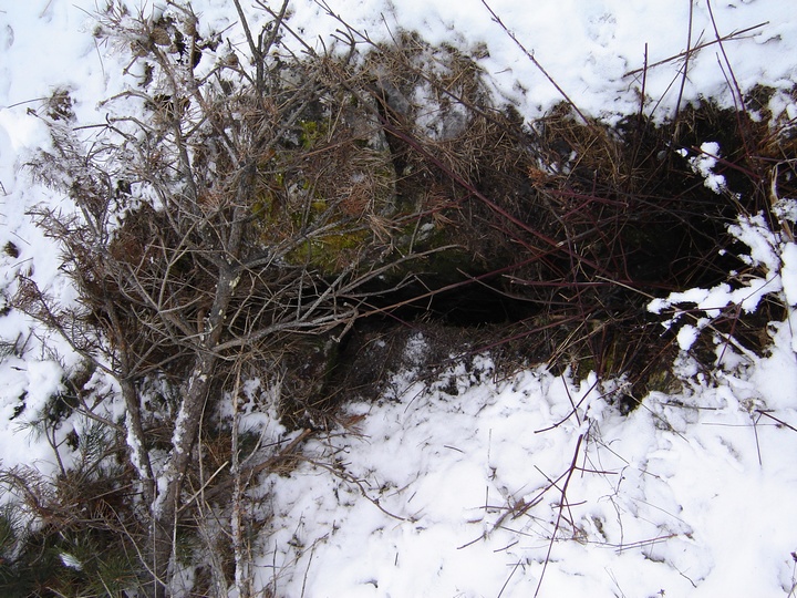 029 povrchovka bratovej.jpg